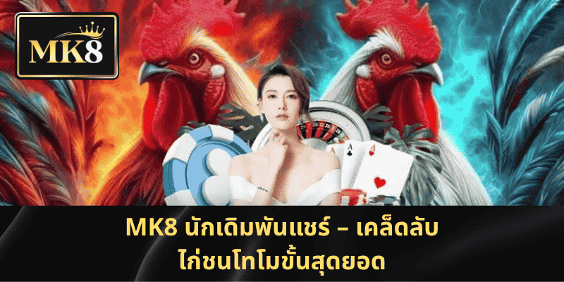 MK8 นักเดิมพันแชร์ – เคล็ดลับไก่ชนโทโมขั้นสุดยอด